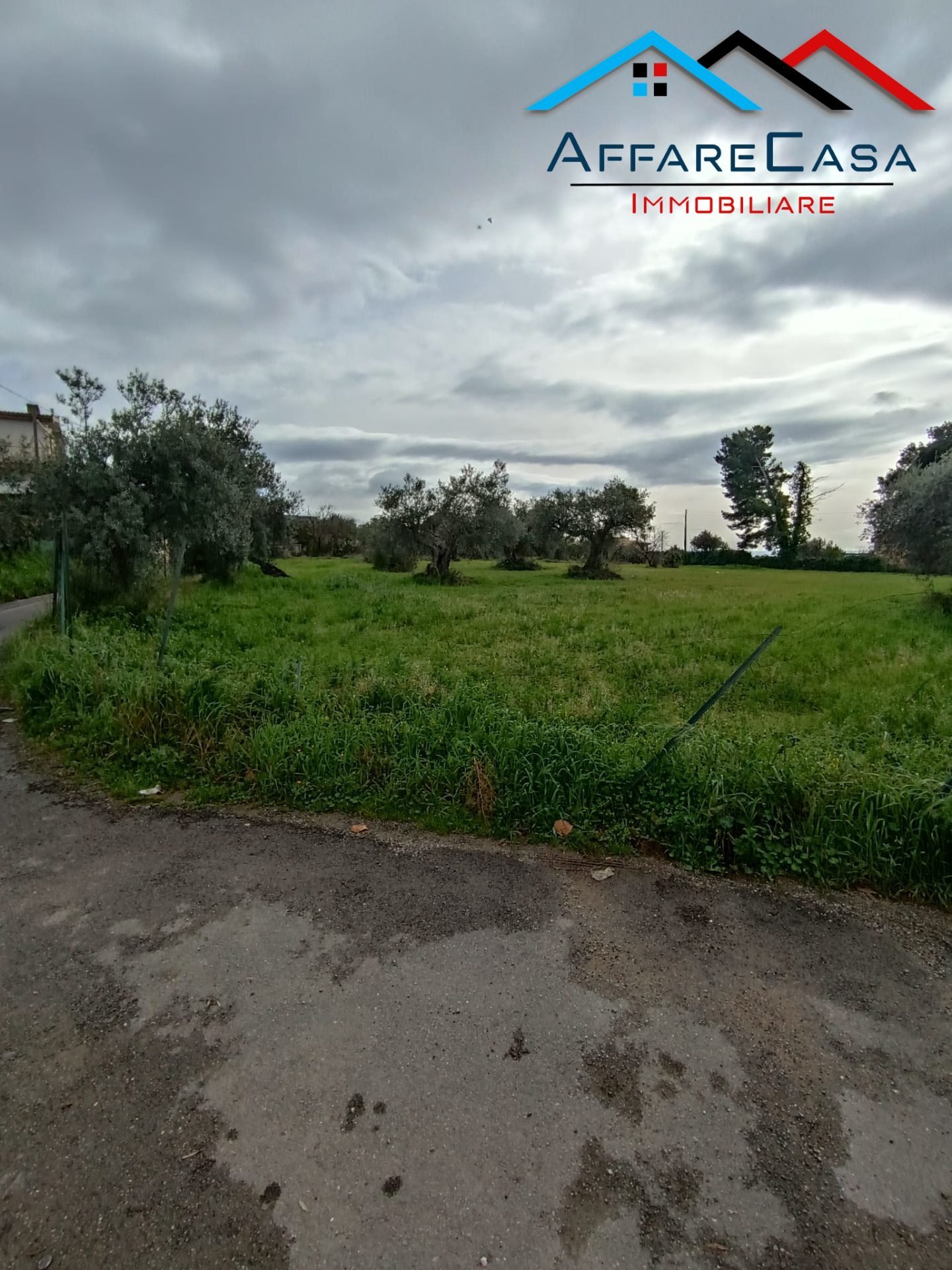 122VT Via Romita - AffareCasa - Foto 6